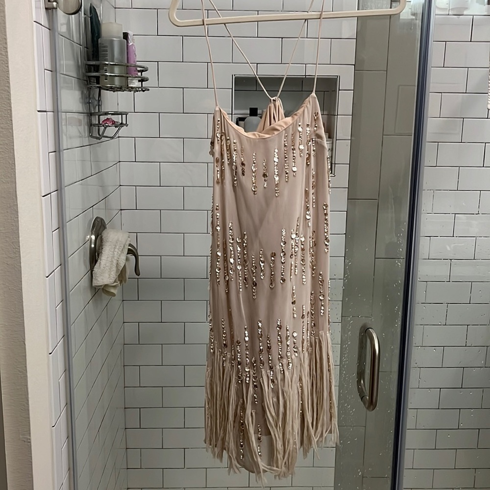 Light pink sequin and fringe FP dress